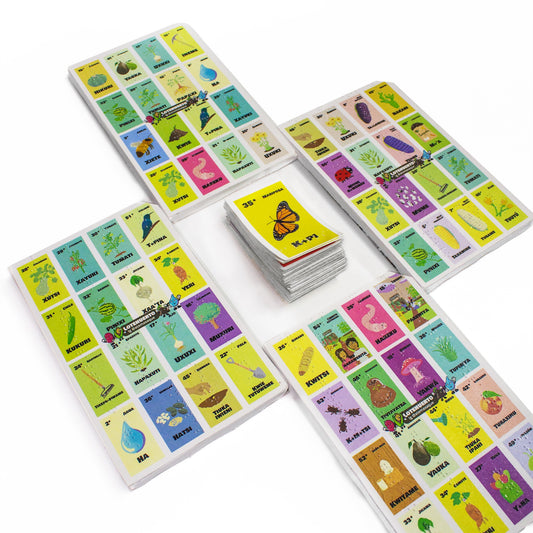 Lotería ambiental adaptada para ciegos