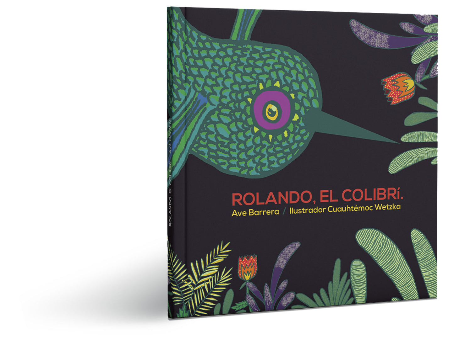 Rolando, el colibrí