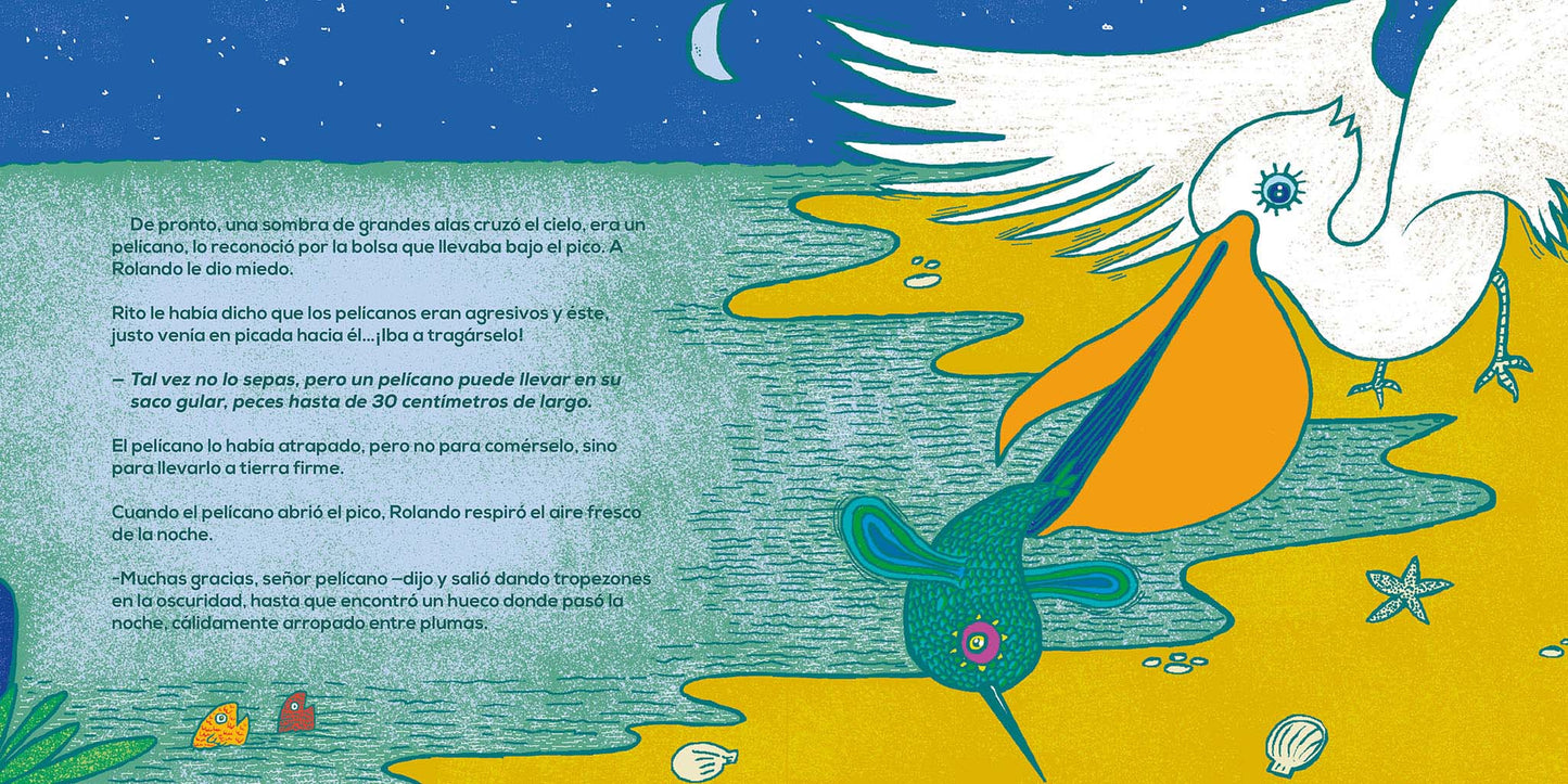 Rolando, el colibrí