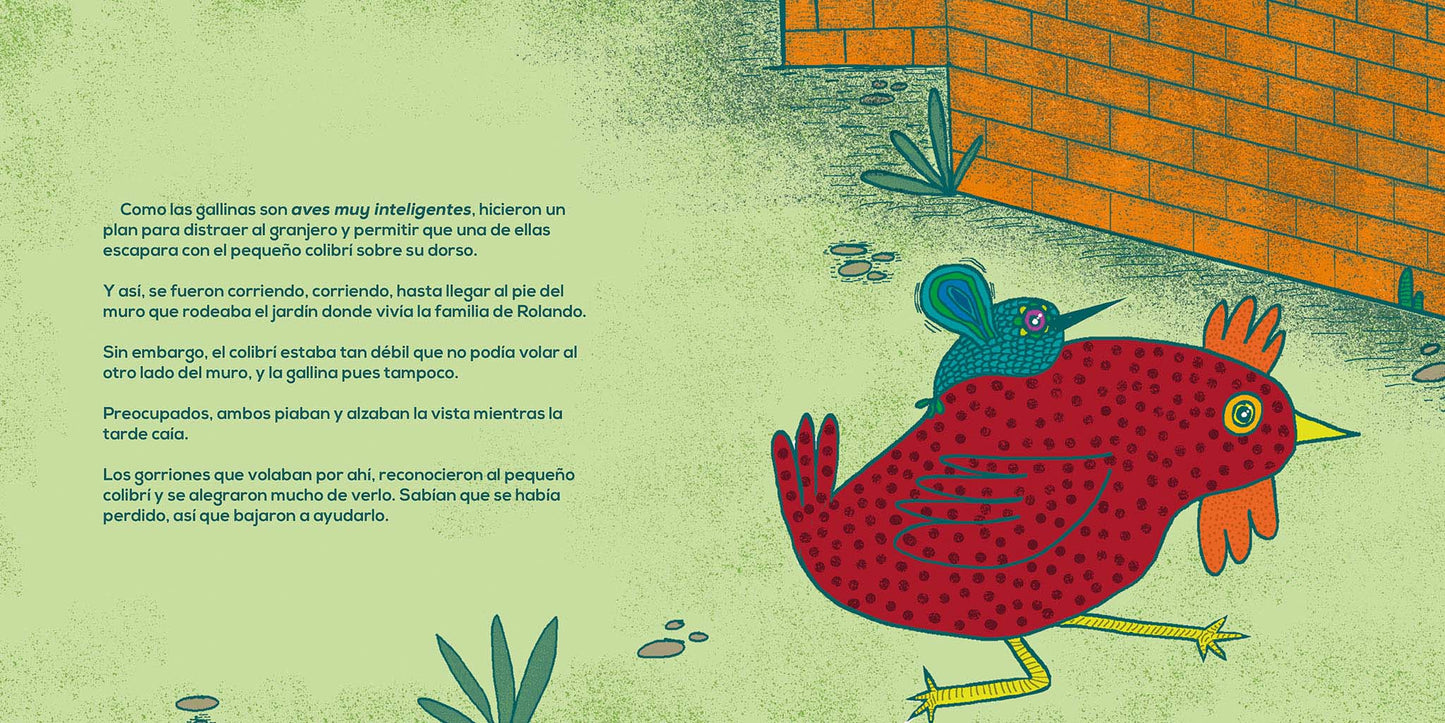 Rolando, el colibrí